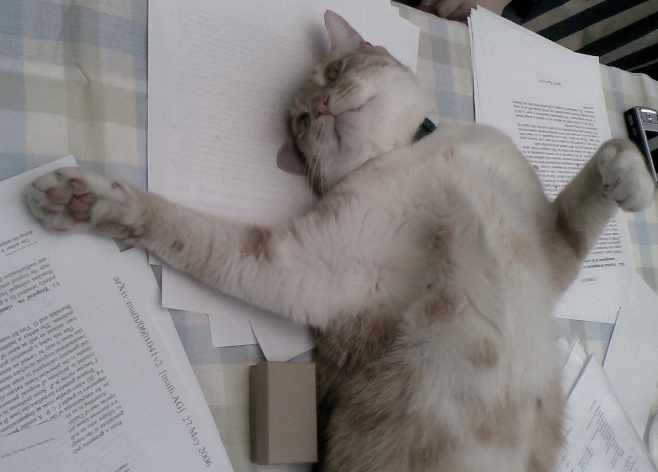 Aero the cat lying on top of mathematics papers
