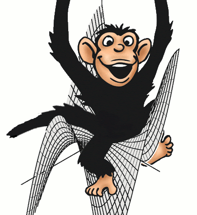 Monkey sitting on the graph of a monkey saddle